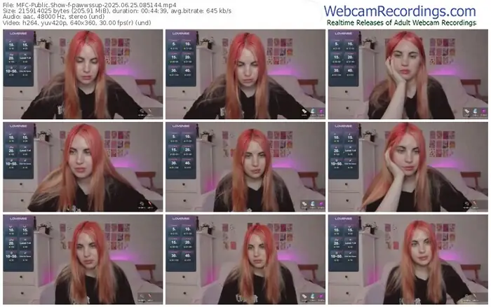 2025/06/25/mfc-pawwssup-08-51-44