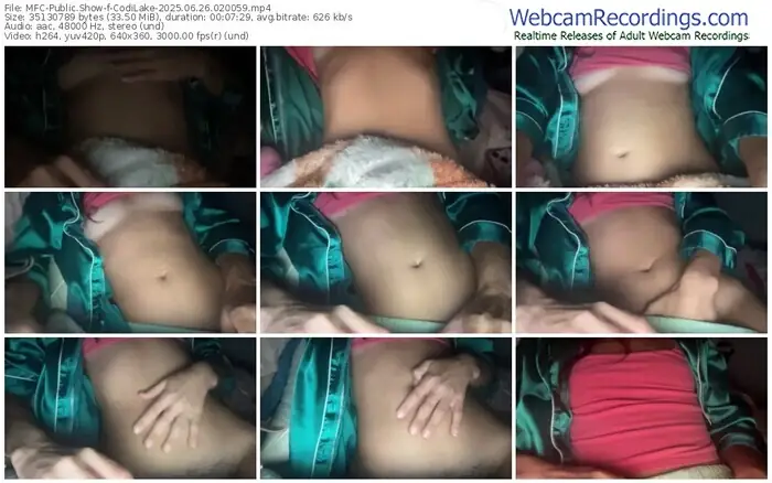 2025/06/26/mfc-codilake-02-00-59