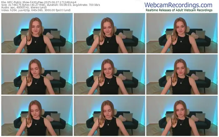 2025/06/27/mfc-kittypaw-17-12-48