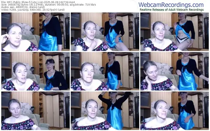 2025/06/28/mfc-cute_lion-16-27-34