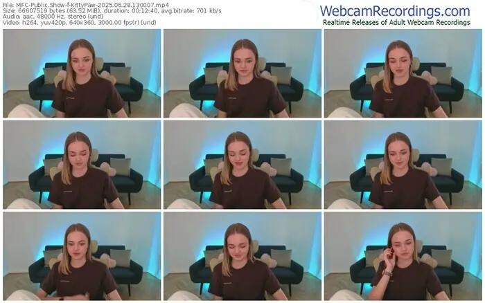 2025/06/28/mfc-kittypaw-13-00-07