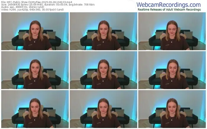 2025/06/28/mfc-kittypaw-19-41-03