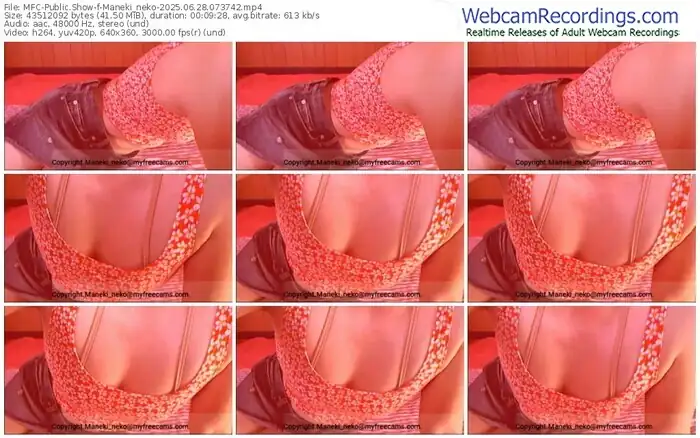 2025/06/28/mfc-maneki_neko-07-37-42