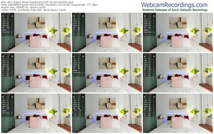 2025/06/28/mfc-nad33n-18-23-55