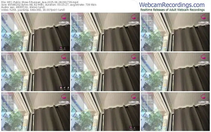 2025/06/28/mfc-russian_ava-09-17-39