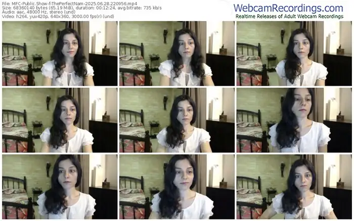 2025/06/28/mfc-theperfectnam-22-09-56
