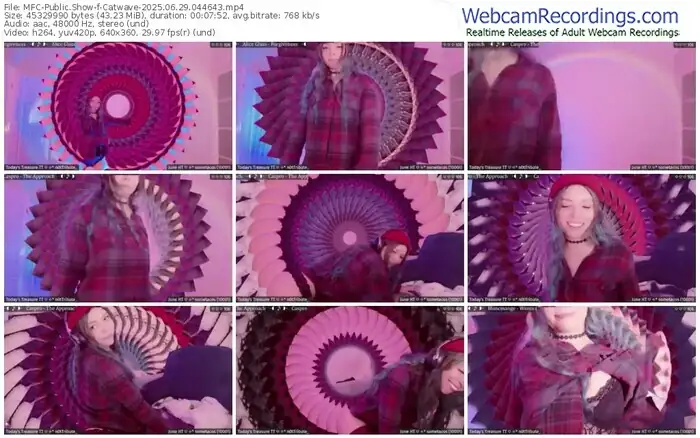 2025/06/29/mfc-catwave-04-46-43