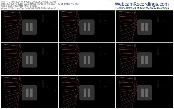 2025/06/29/mfc-p0sie-23-17-12