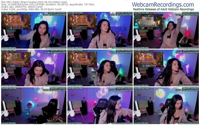 2025/06/30/mfc-melon-16-38-17