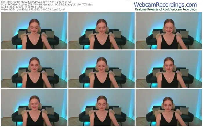 2025/07/01/mfc-kittypaw-14-37-29