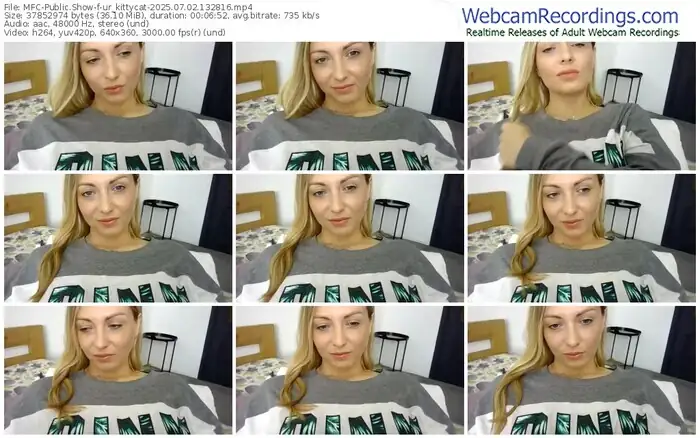 2025/07/02/mfc-ur_kittycat-13-28-16