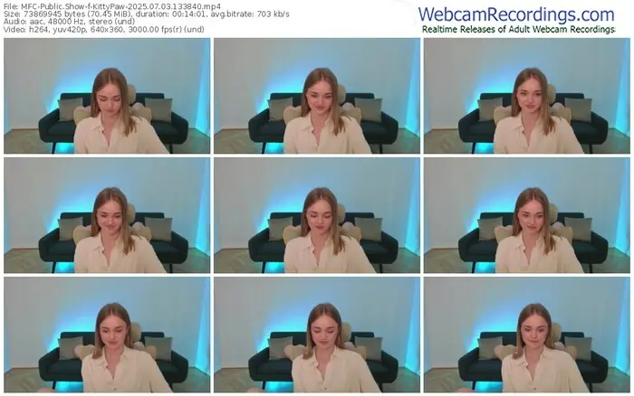 2025/07/03/mfc-kittypaw-13-38-40