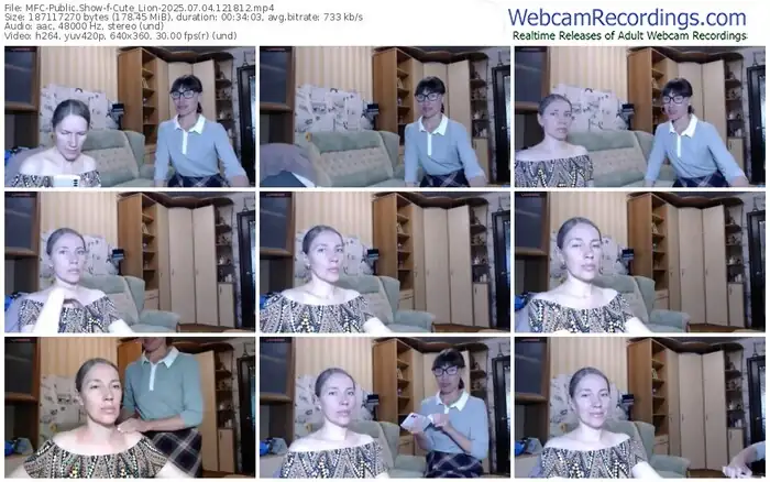 2025/07/04/mfc-cute_lion-12-18-12