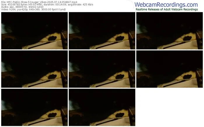 2025/07/14/mfc-cougar_vibes-05-48-47