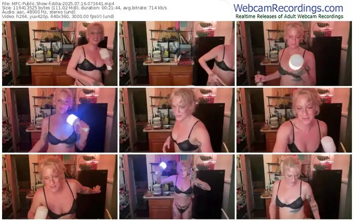 2025/07/16/mfc-ailia-07-16-41