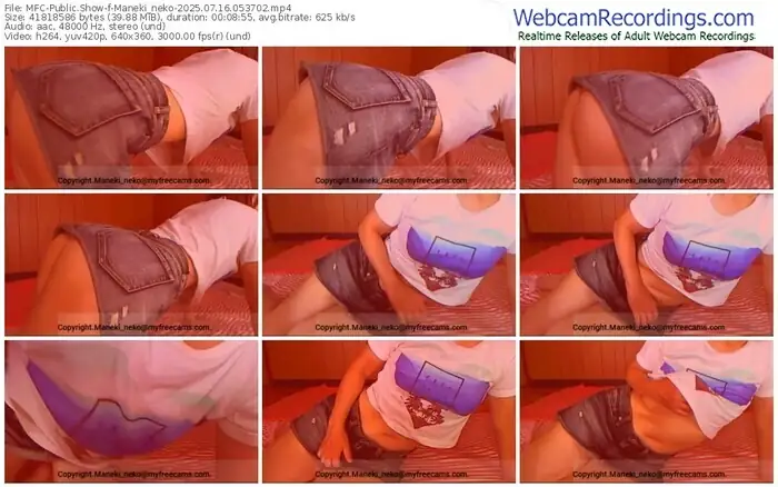 2025/07/16/mfc-maneki_neko-05-37-02