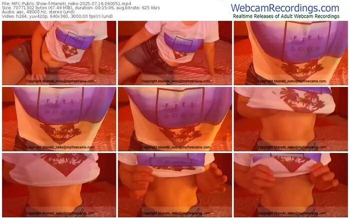 2025/07/16/mfc-maneki_neko-06-00-51