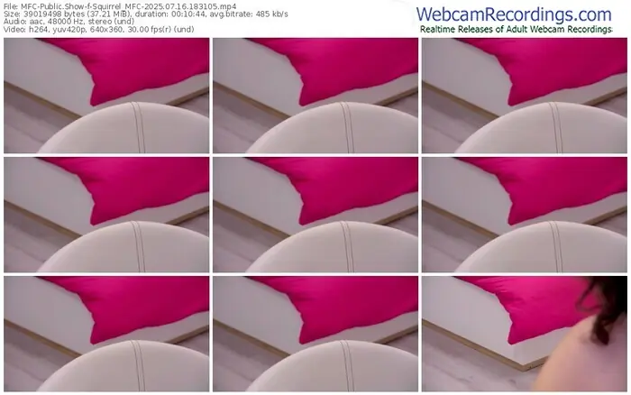 2025/07/16/mfc-squirrel_mfc-18-31-05