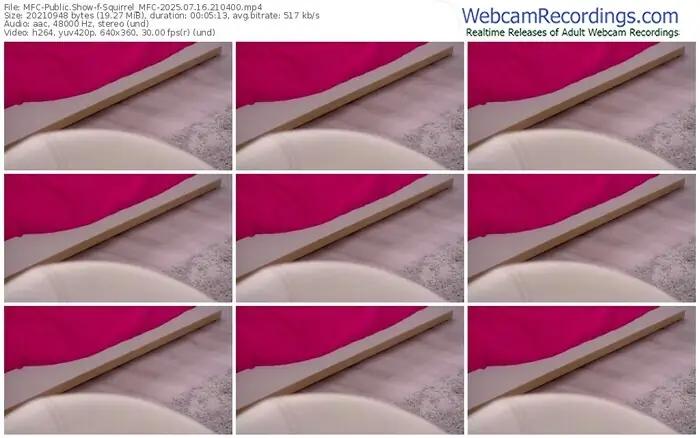 2025/07/16/mfc-squirrel_mfc-21-04-00