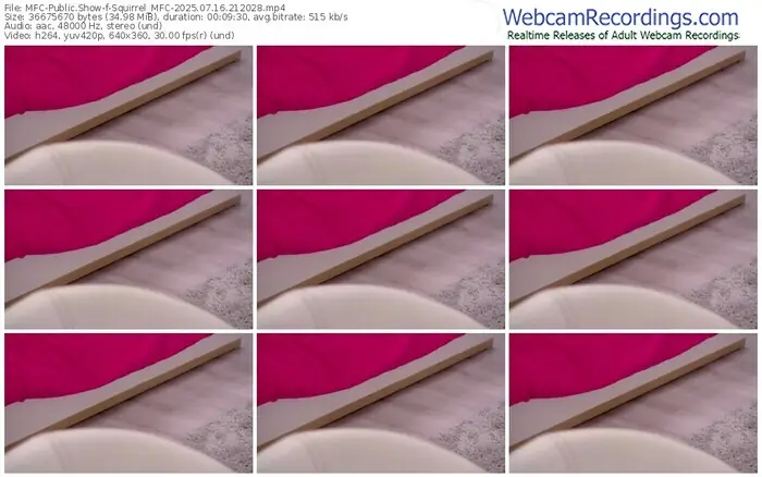 2025/07/16/mfc-squirrel_mfc-21-20-28