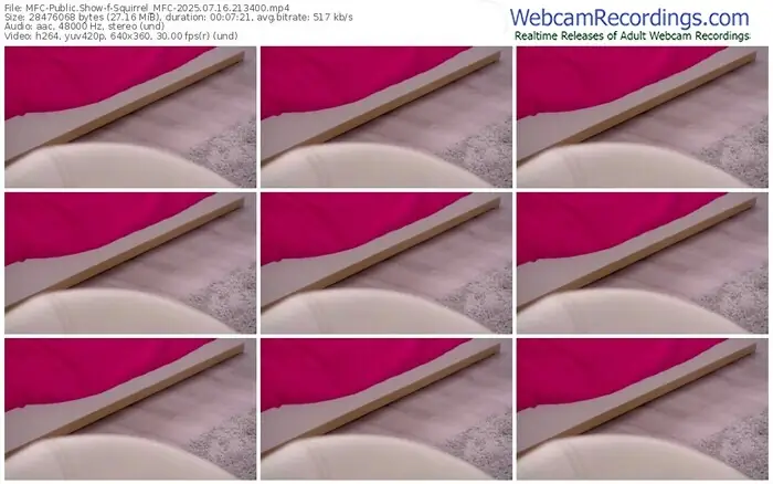 2025/07/16/mfc-squirrel_mfc-21-34-00