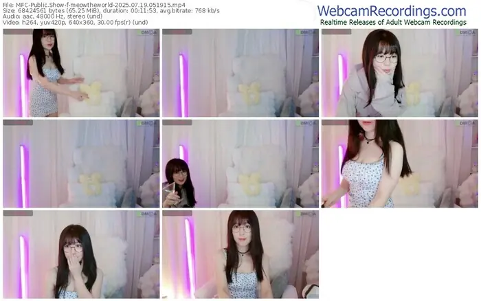 2025/07/19/mfc-meowtheworld-05-19-15