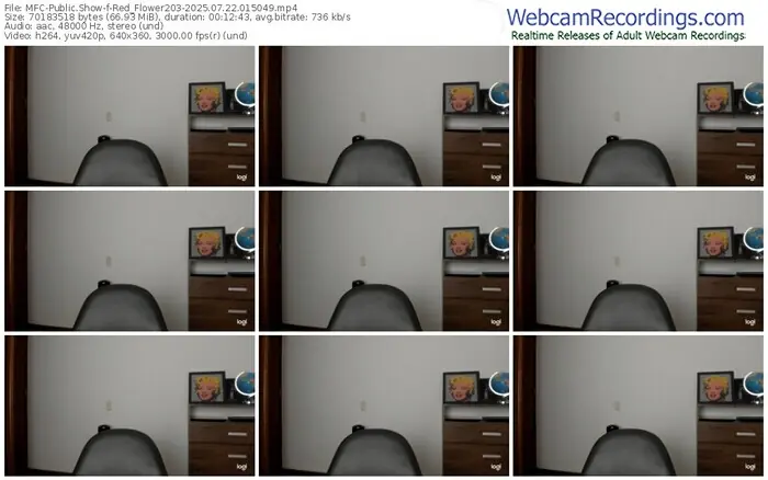 2025/07/22/mfc-red_flower203-01-50-49