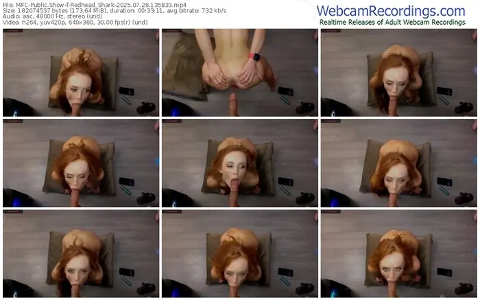 2025/07/26/mfc-redhead_shark-13-58-33