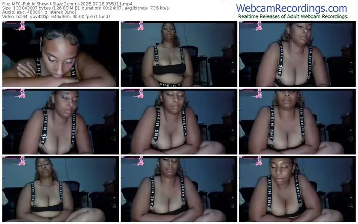 2025/07/28/mfc-slayzgemini-05-51-11