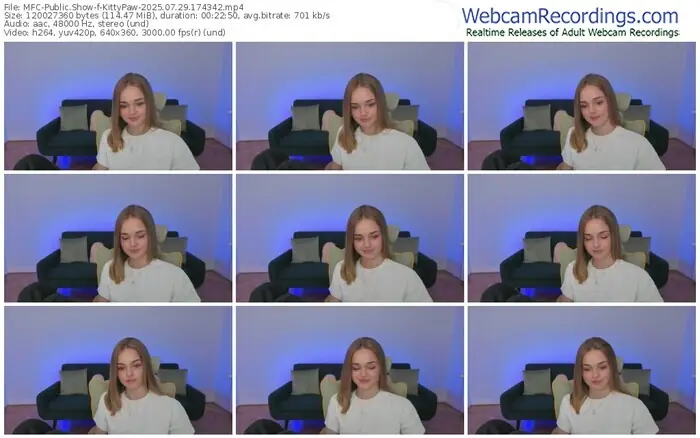 2025/07/29/mfc-kittypaw-17-43-42