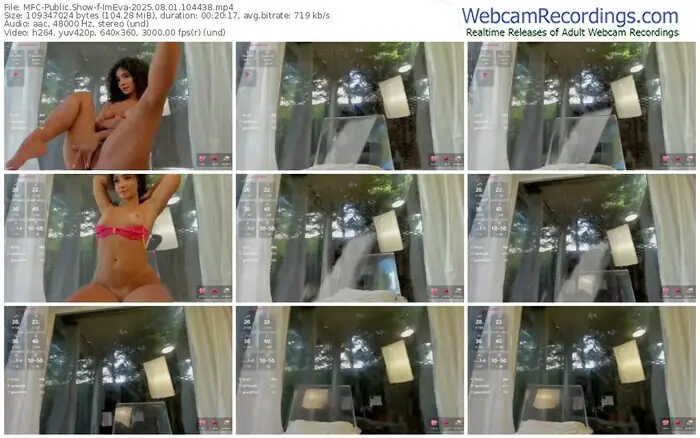 2025/08/01/mfc-imeva-10-44-38