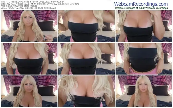 2025/08/01/mfc-eh1_scarlett-03-44-03