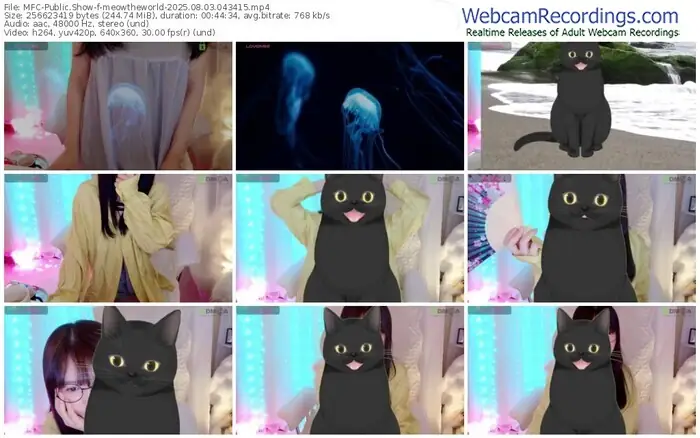 2025/08/03/mfc-meowtheworld-04-34-15