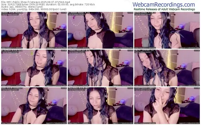 2025/08/07/mfc-catwave-07-25-44