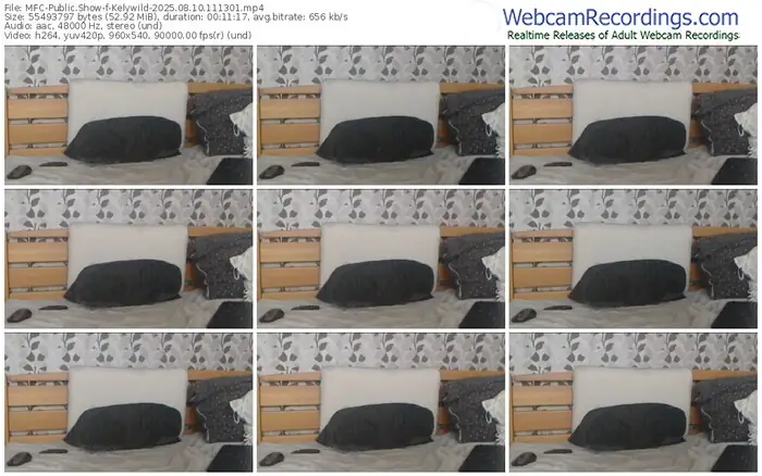2025/08/10/mfc-kelywild-11-13-01