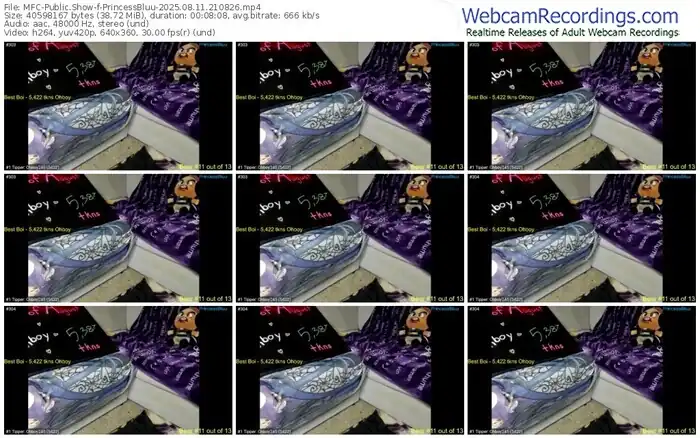 2025/08/11/mfc-princessbluu-21-08-26