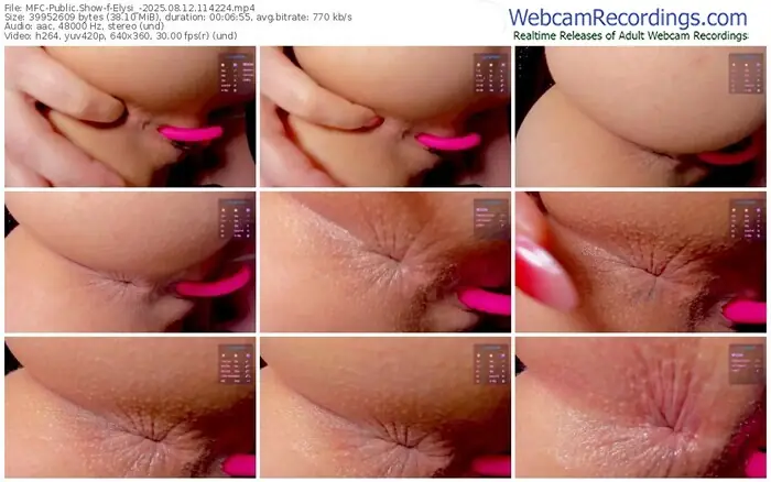 2025/08/12/mfc-elysi_-11-42-24