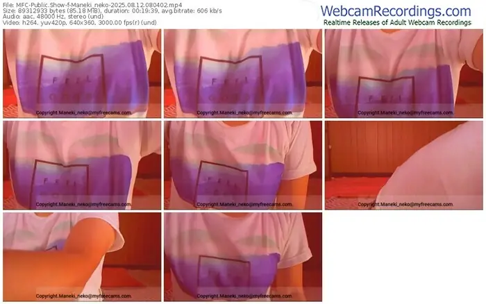 2025/08/12/mfc-maneki_neko-08-04-02