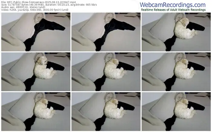 2025/08/13/mfc-ameeraxo-22-39-47