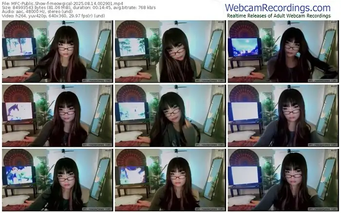 2025/08/14/mfc-meowgical-00-29-01