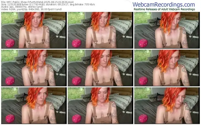 2025/08/15/mfc-purrtymetal-01-26-36