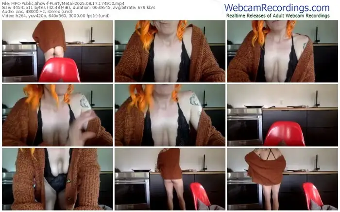 2025/08/17/mfc-purrtymetal-17-49-10