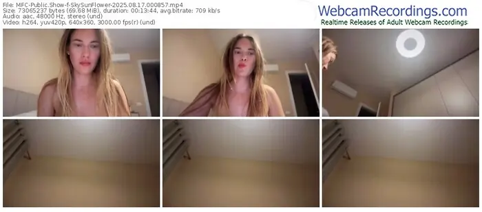 2025/08/17/mfc-skysunflower-00-08-57