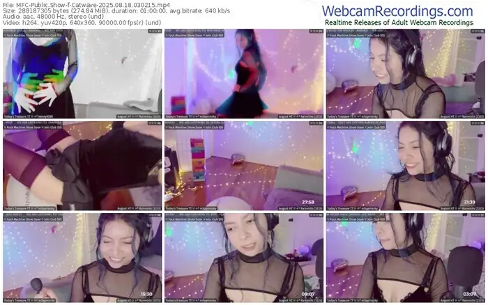 2025/08/18/mfc-catwave-03-02-15