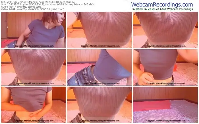 2025/08/18/mfc-maneki_neko-04-39-26