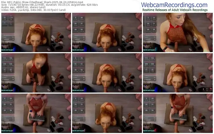2025/08/20/mfc-redhead_shark-20-58-14