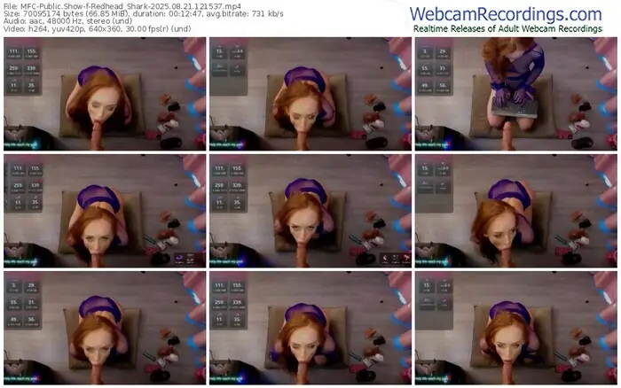 2025/08/21/mfc-redhead_shark-12-15-37