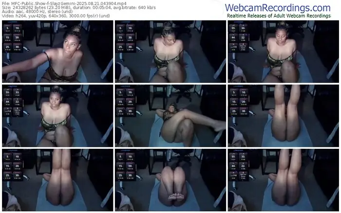 2025/08/21/mfc-slayzgemini-04-39-04