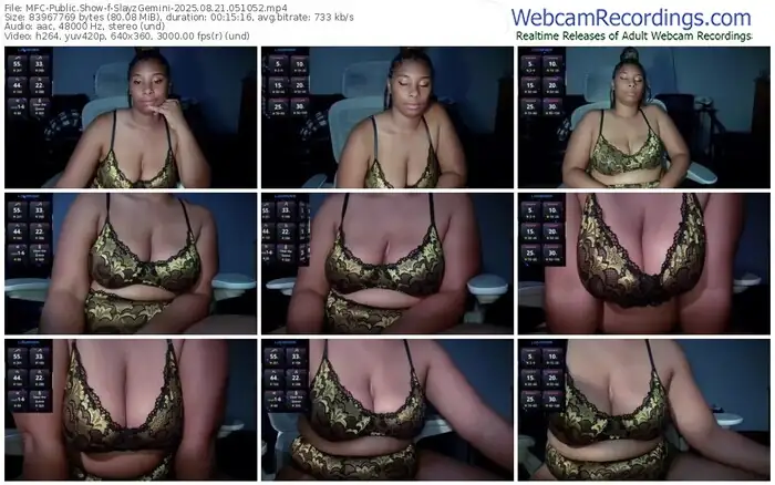 2025/08/21/mfc-slayzgemini-05-10-52