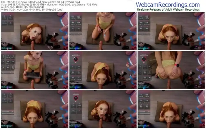 2025/08/24/mfc-redhead_shark-12-35-20